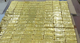 MrPip gull VNEtheocongan.gif