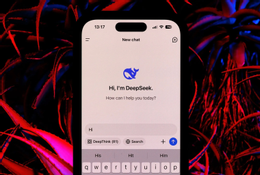 deepseek ប៊្លូមប៊ឺក