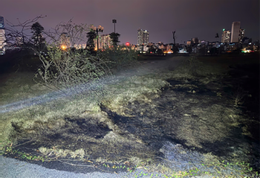 ការរត់ស្ងួត