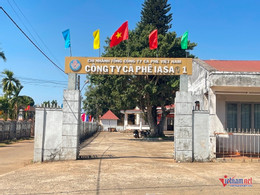 W-ការបង់ប្រាក់ធានារ៉ាប់រងជាមួយកាហ្វេ 2.JPG.jpg