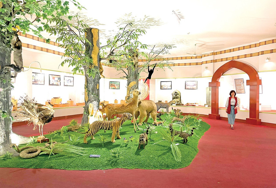 Gia Lai inovează activitățile muzeale - Fotografia 1. Gia Lai đổi mới hoạt động bảo tàng - Ảnh 1.