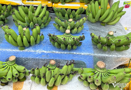 zelený banán 57170.png