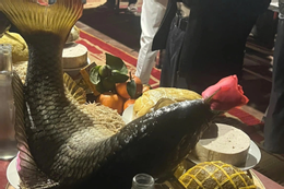 ត្រីគល់រាំង ដេកក្នុងអង្រឹង ទ្រុង 0.png