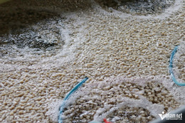 W-Aquatic products1.jpg