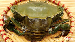 W-aquatic products10.jpg