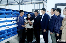 W-aquatic products9.jpg