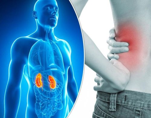 9 habits to nourish the kidneys, help keep them healthy that not everyone knows - Photo 2. 9 thói quen bồi bổ thận, giúp thận luôn khỏe mạnh không phải ai cũng biết- Ảnh 2.