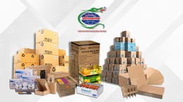 תמונה 1 thumb.jpg