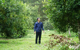 W-a1বেকার অবিবাহিতরা বাড়ি ফিরেছে.jpg