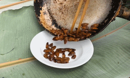 មេដៃមានក្លិនស្អុយ rang.gif