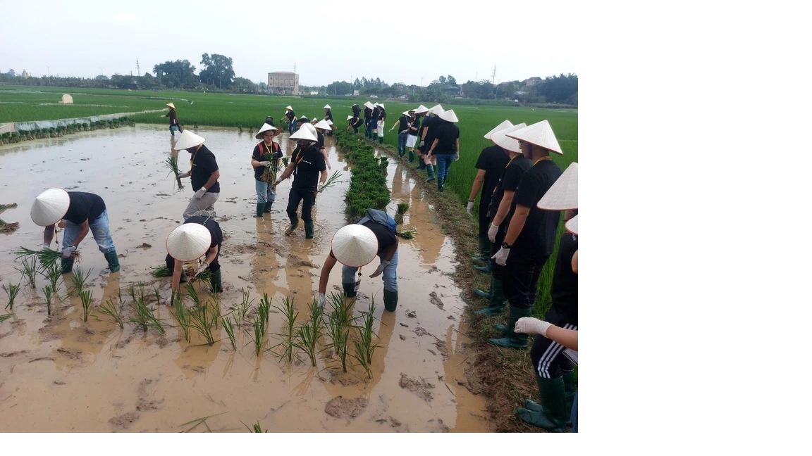 បទចម្រៀងខាងក្រោម