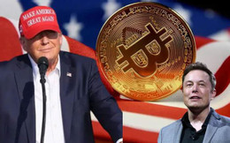 トランプマスク ビットコイン BTAo.jpg