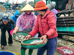 W-a3Κουρασμένα χέρια που βγάζουν ρέγγα.jpg