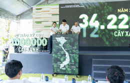 สีเขียว 4.png