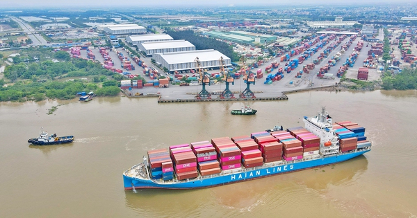 کشتیهای داخلی هنوز ترجیح میدهند پرچمهای خارجی را برافرازند - عکس ۱. Tàu nội vẫn sính treo cờ ngoại- Ảnh 1.